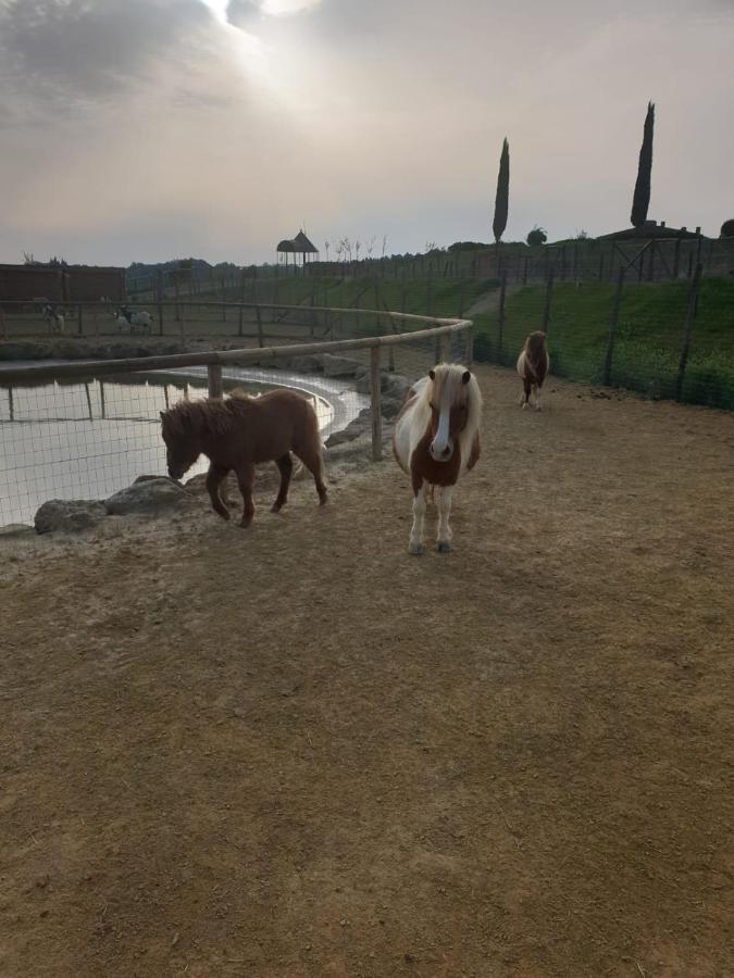 Agriturismo Colleoli Villa Palaia Buitenkant foto